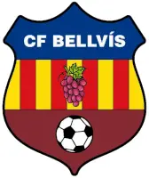 Partit de futbol
