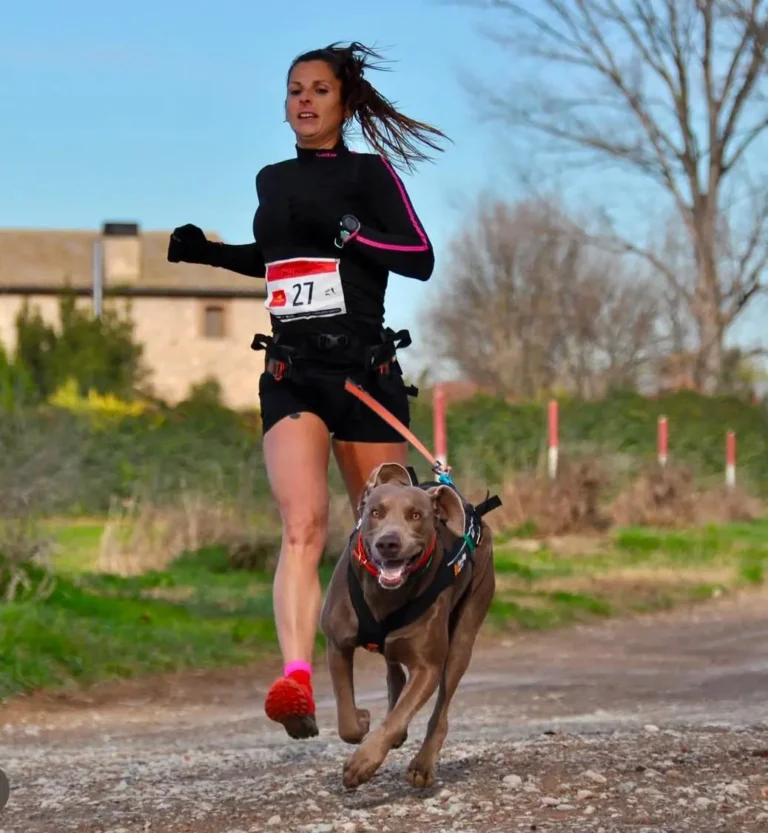 CANICRÒS A BELLVÍS