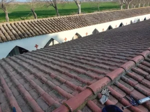 Actuacions manteniment cementiri