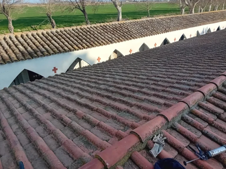 Actuacions manteniment cementiri