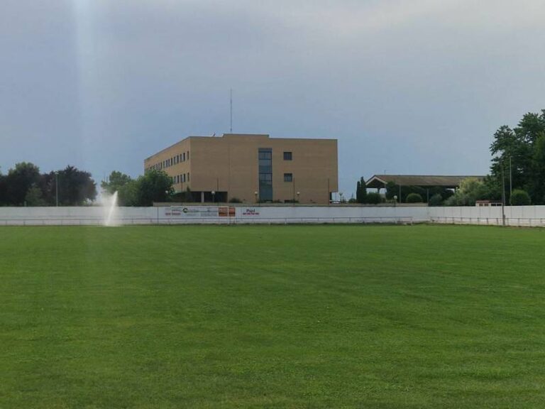 Treballs de millora i manteniment de la gespa natural del camp de futbol